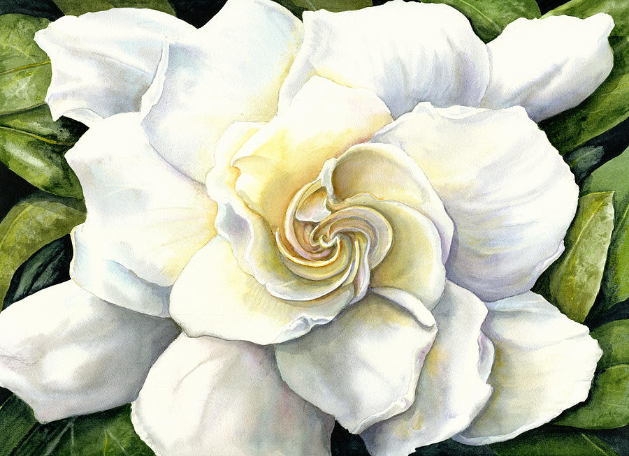 Flower Painting - Gardenia by Karen Wright