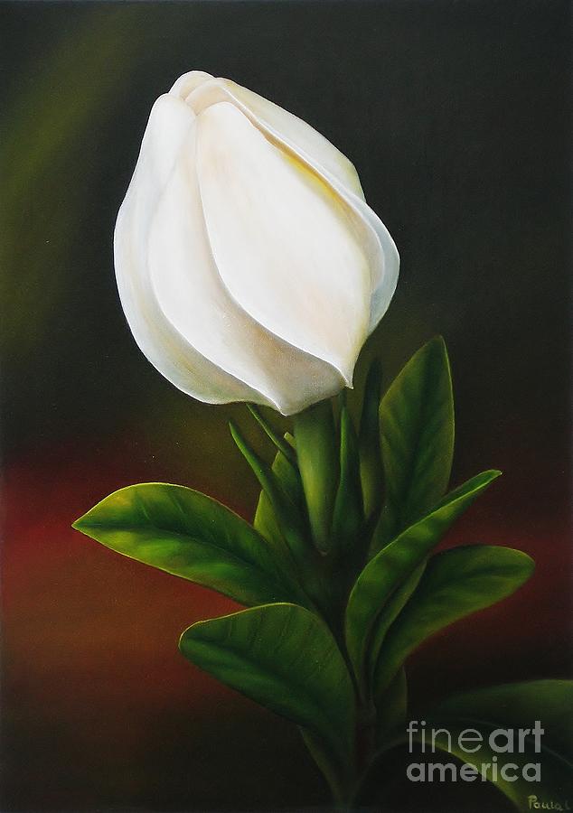 Flowers Still Life Painting - Gardenia by Paula Ludovino