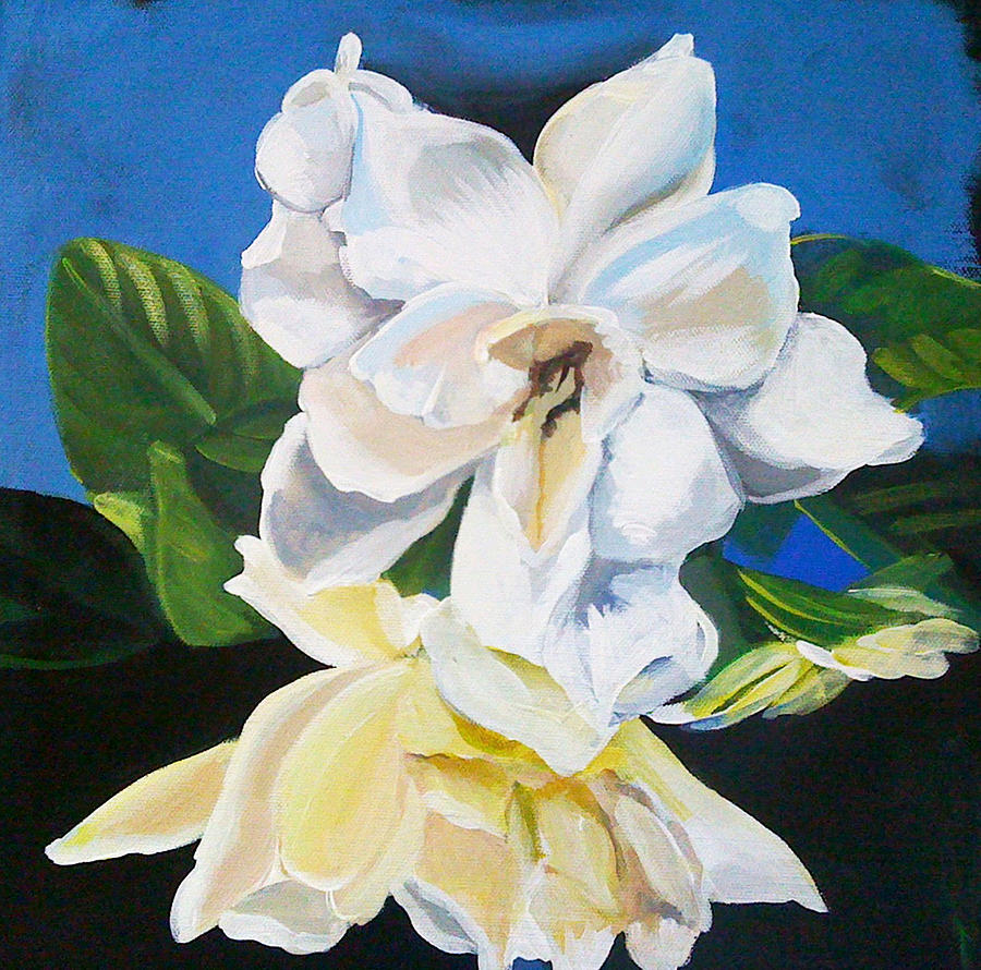 Gardenias Painting by Shelley Overton