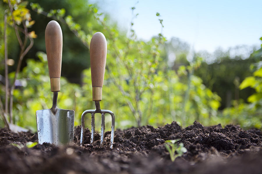 Gardening Hand Trowel and Fork Standing in Garden Soil Photograph by Cjp