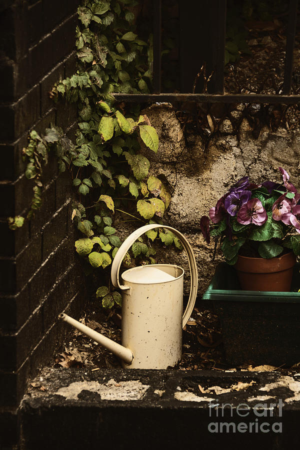 Gardening Photograph by Margie Hurwich