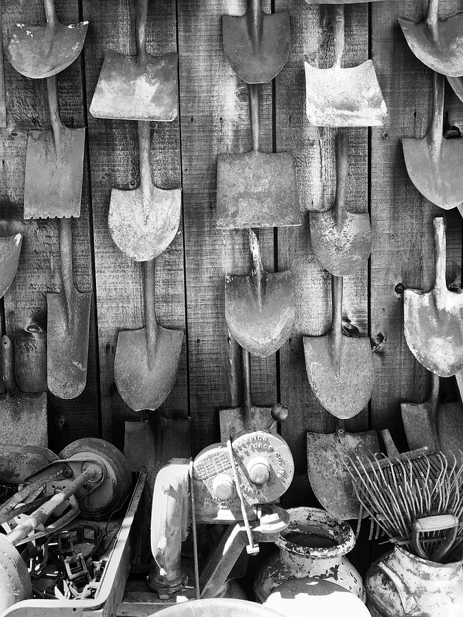 Gardening Tools Hanging On Plank Wall Photograph by Stan Strange / Eyeem