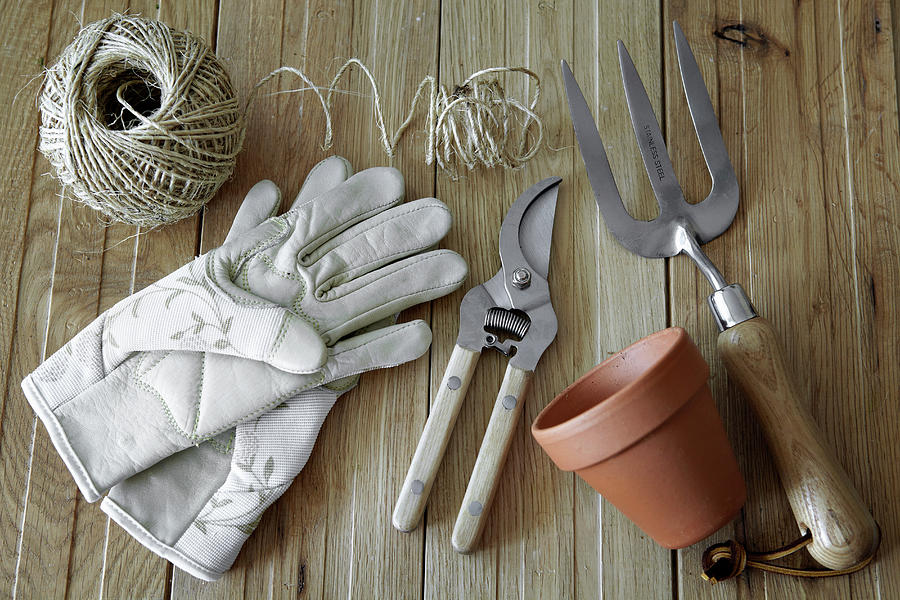 Gardening Tools, Still Life Photograph by Debby Lewis-harrison