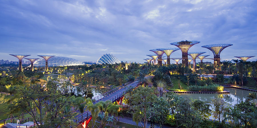 Gardens by the Bay Photograph by Ng Hock How