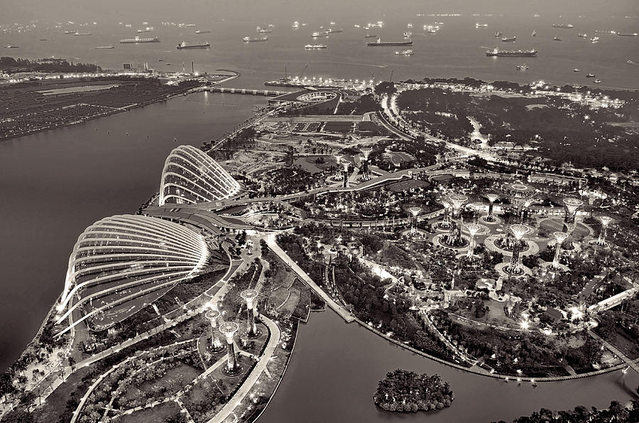 Gardens By The Bay Photograph by Photo By William Cho