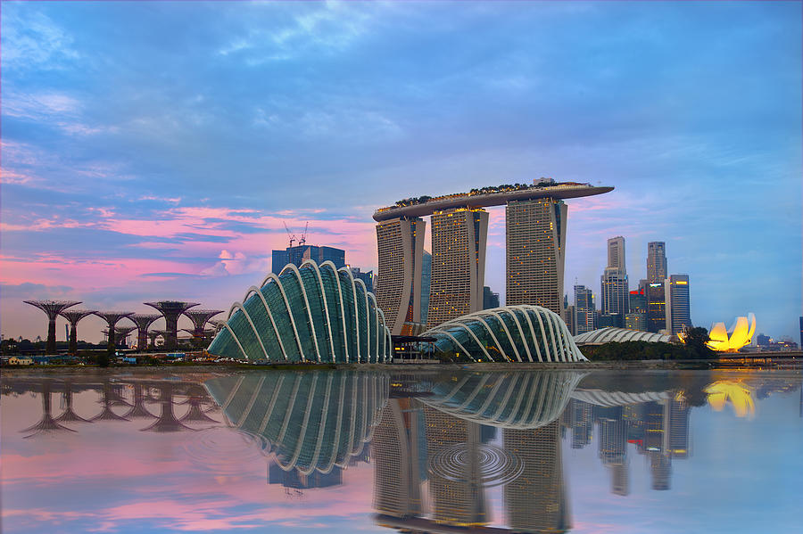Gardens By The Bay Photograph by Seng Chye Teo