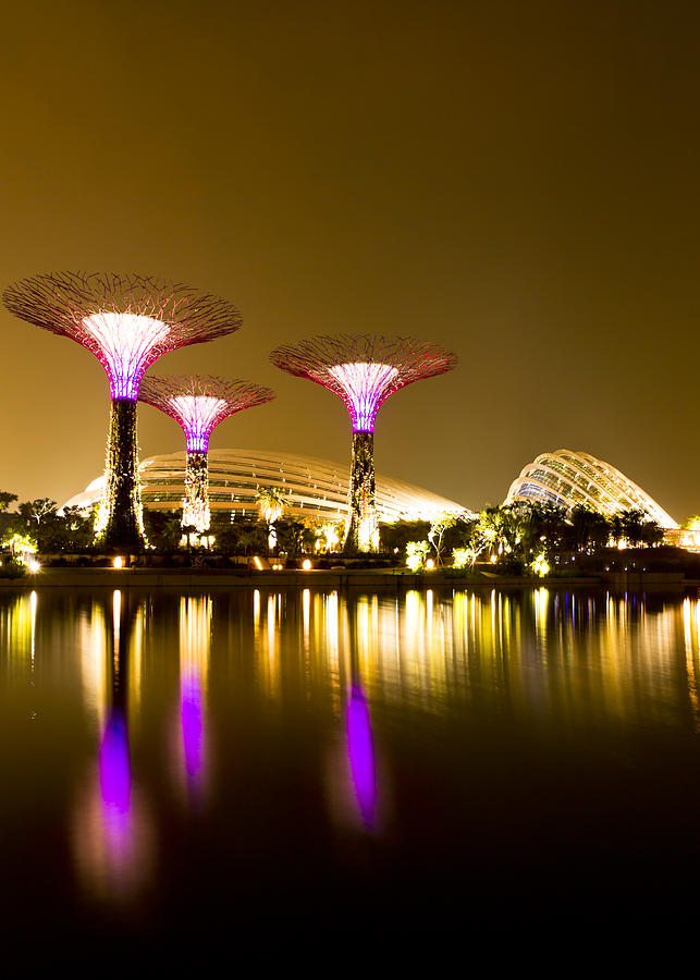 Architecture Photograph - Gardens by the Bay Singapore by Henry MM