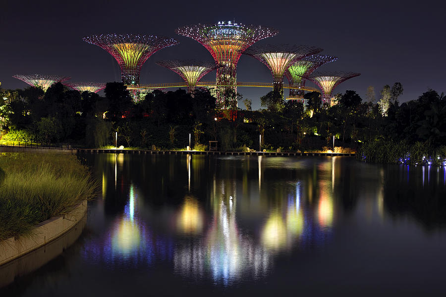 Gardens By The Bay Photograph - Gardens by the Bay Supertree Grove by David Gn Gardens By The Bay Photograph - Gardens by the Bay Supertree Grove by David Gn