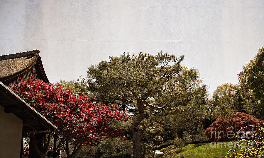 Spring Photograph - Gardens of a Japanese Tea House by Tom Gari Gallery-Three-Photography