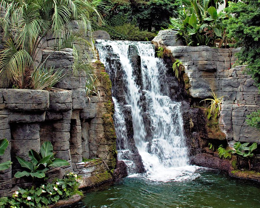 Gardens of Opryland Photograph by Robert Richardson - Fine Art America