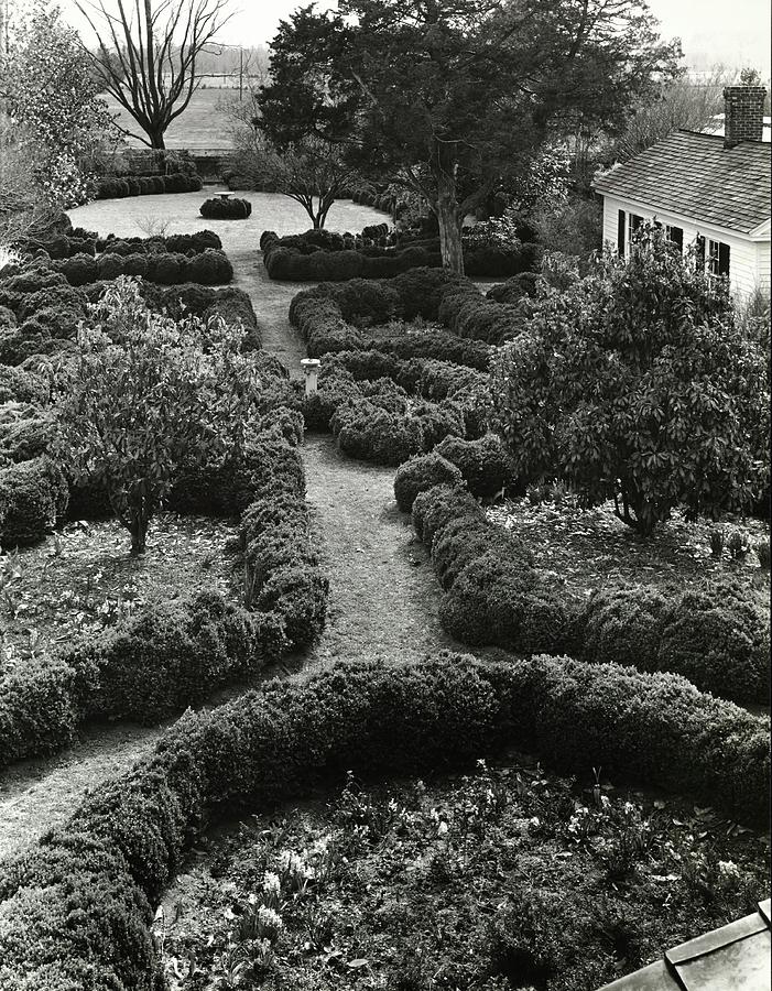 Gardens Of The Chelsea Plantation Photograph by Ralph Bailey