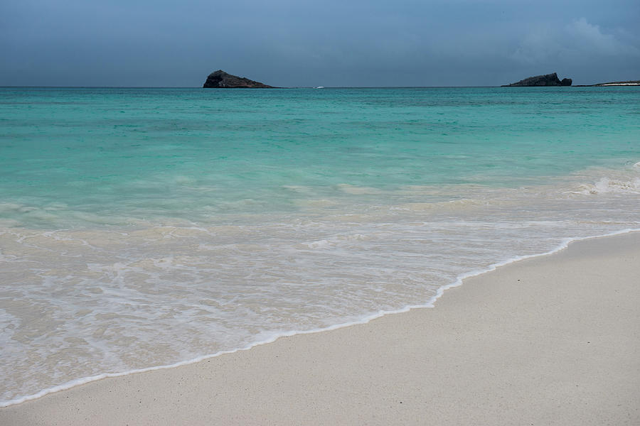 Gardner Bay, Espanola Island, Galapagos Photograph by Pete Oxford - Pixels