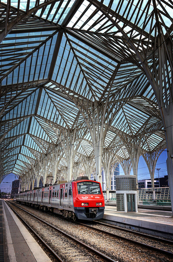 Gare do Oriente Lisbon Photograph by Carol Japp