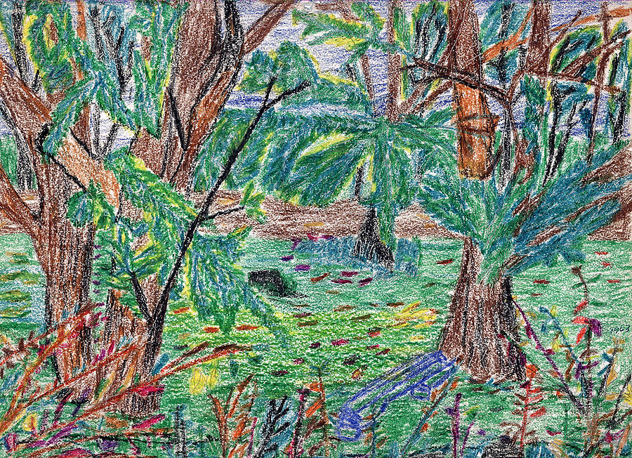 Garfield Garden Drawing by Michael Anthony Edwards