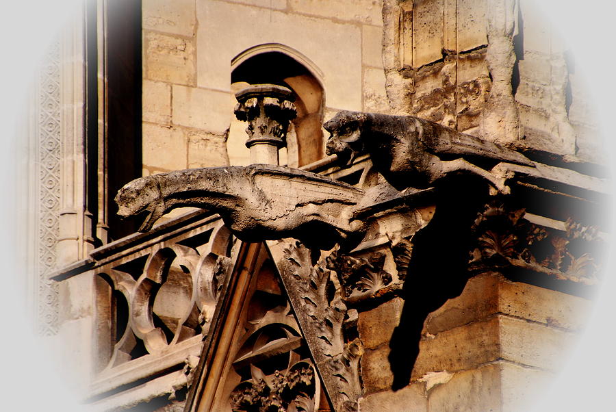 Gargoyles at Notre Dame Photograph by Jacqueline M Lewis