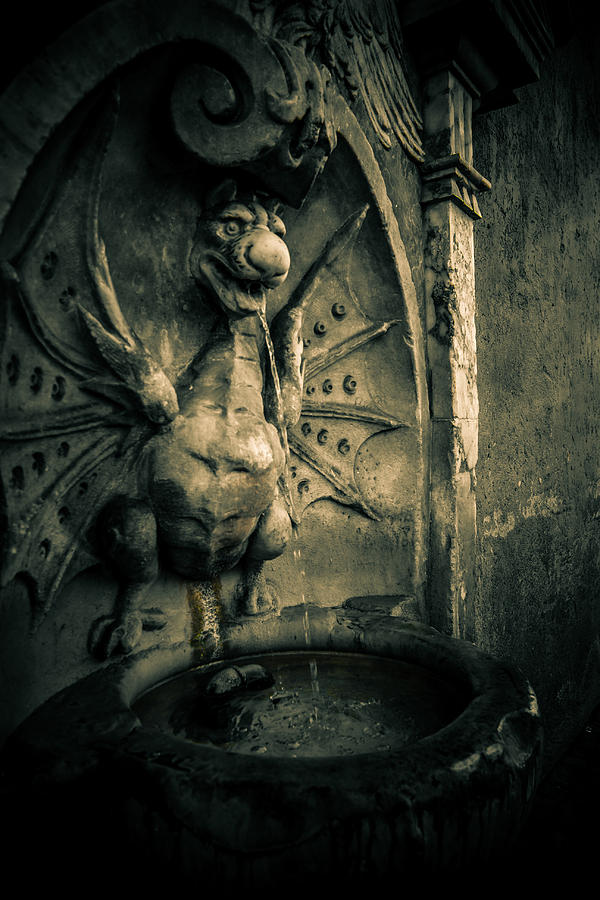 Gargoyle Fountain Photograph by Matthew Onheiber