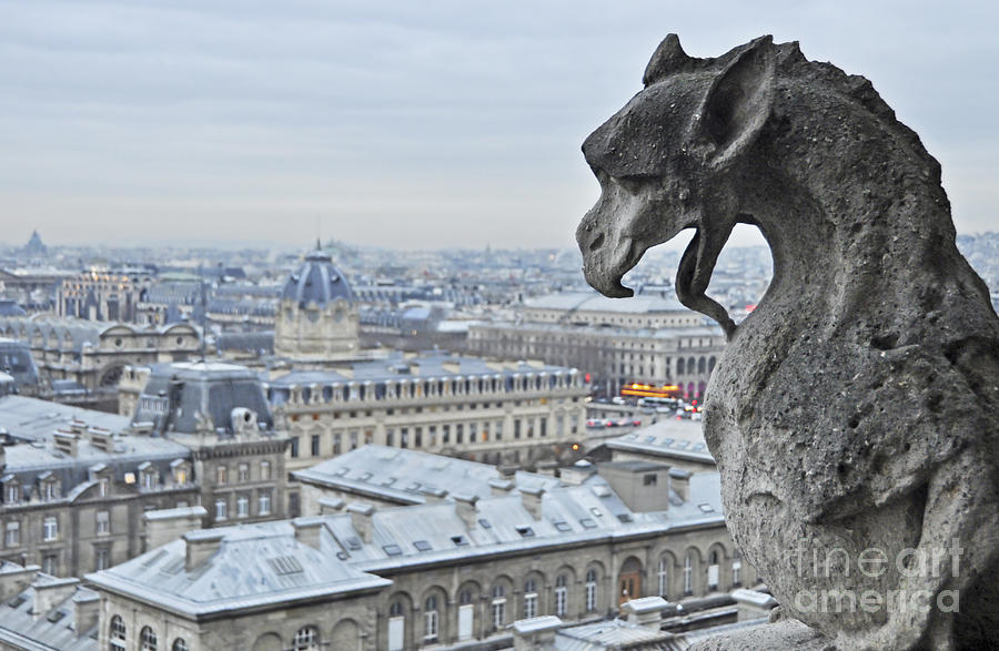 Gargoyle in Paris Photograph by Judith Katz