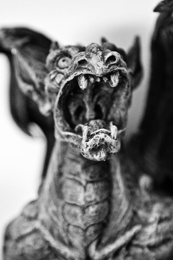 Gargoyle Photograph by John Hoey