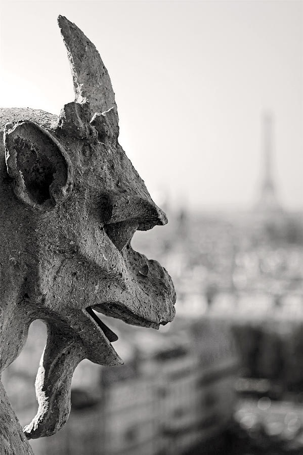 Gargoyle Notre Dame de Paris Photograph by Pierre Leclerc Photography