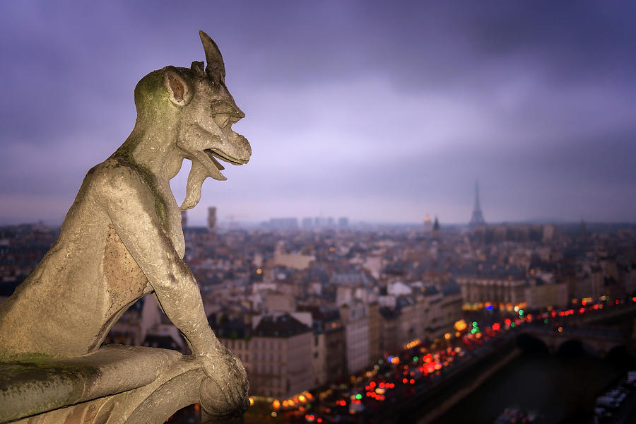 Gargoyle Of Notre-dame Cathedral, Paris Photograph by Karen Deakin