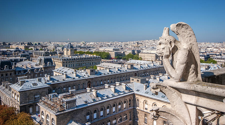 Romanesque Photograph - Gargoyle overlooking Paris city from the top of Notre Dame Cathedral by Pierre Leclerc Photography