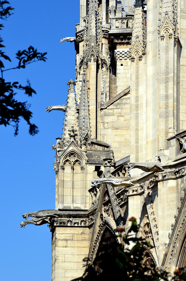 Gargoyles of Notre Dame de Paris Photograph by Carla Parris