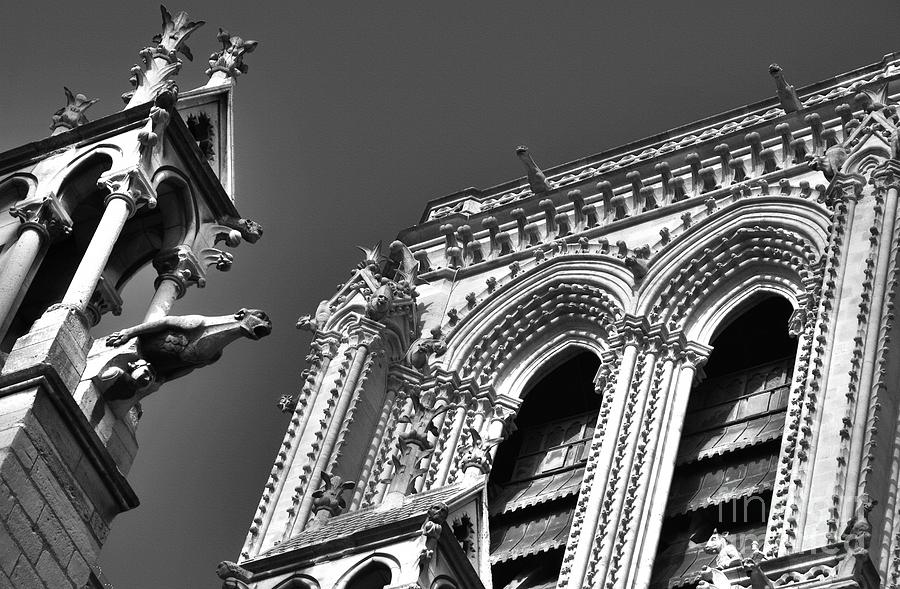 Gargoyles Of Paris Photograph by Mel Steinhauer