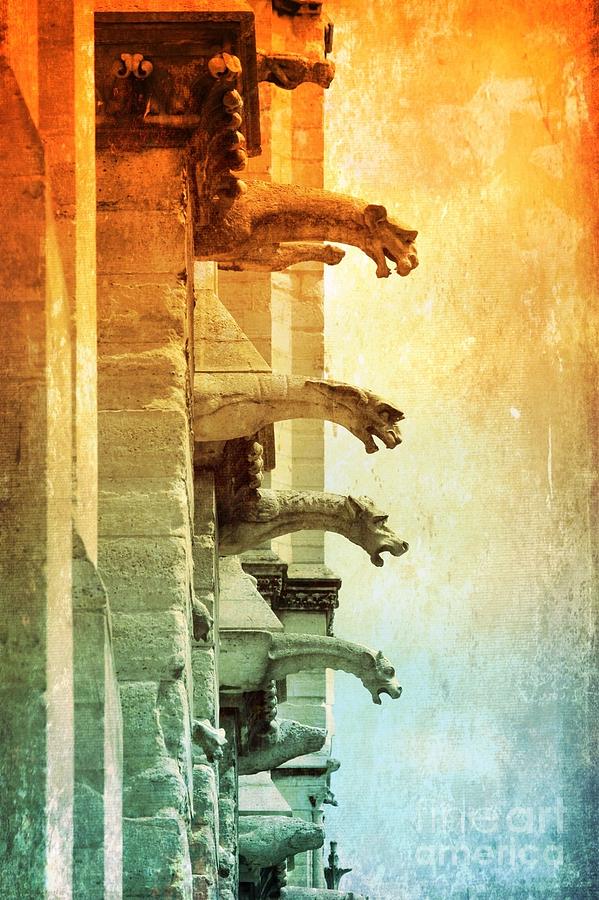 Gargoyles with Textures and Color Photograph by Carol Groenen