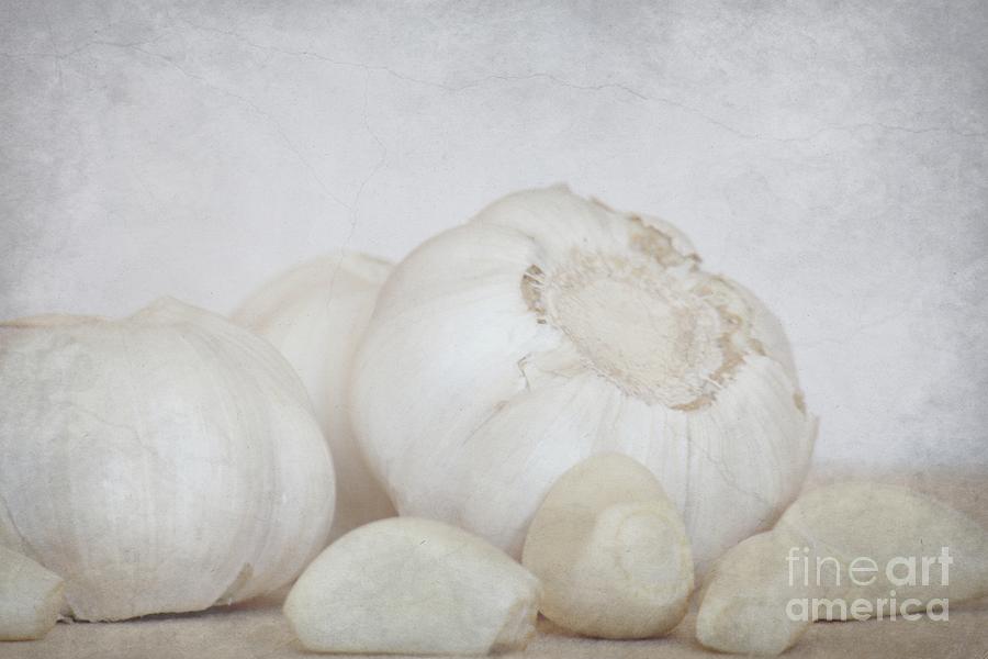 Still Life Photograph - Garlic 5 by Sophie Vigneault