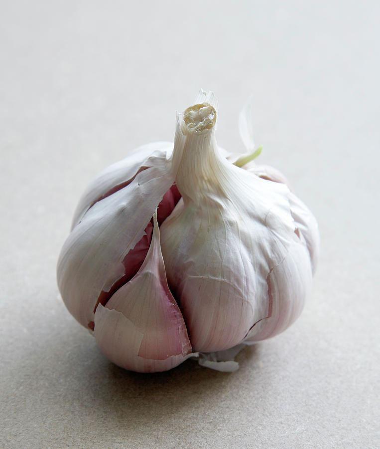 Garlic Bulb Photograph by Claudia Dulak / Science Photo Library