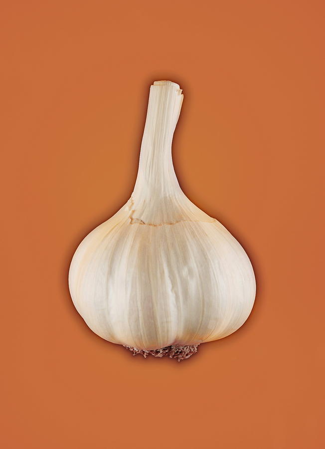 Still Life Photograph - Garlic Bulb by Mark Sykes/science Photo Library