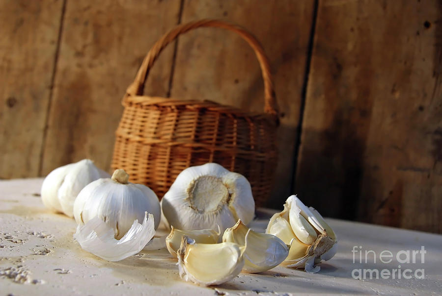 Nature Photograph - Garlic bulbs and cloves by Sandra Cunningham