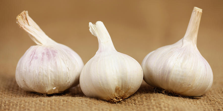 Vegetable Photograph - Garlic bulbs by Falko Follert