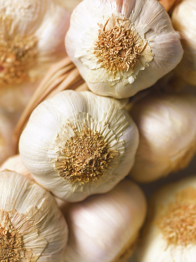 Garlic Bulbs Photograph by Peter Dazeley