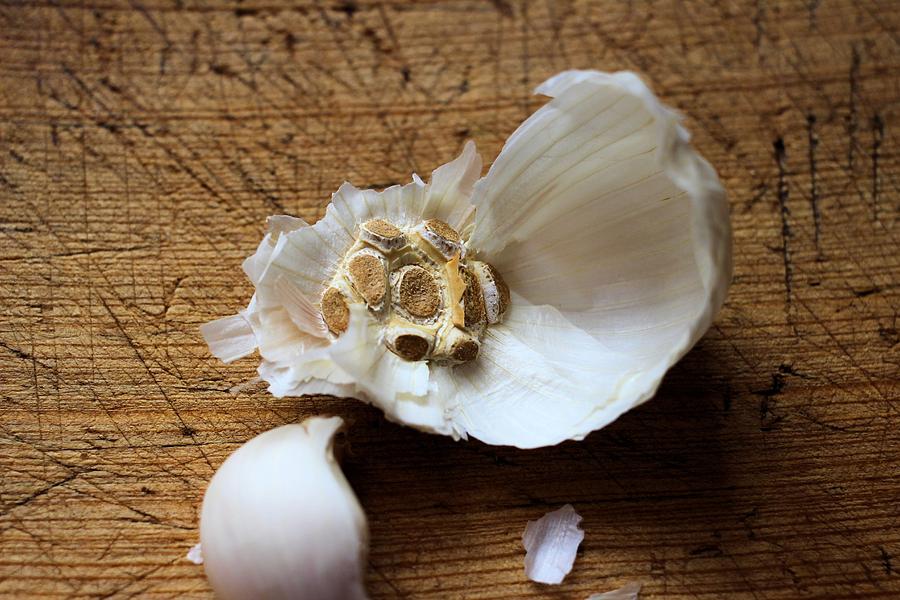 Garlic clove scars Photograph by Scott Carlton