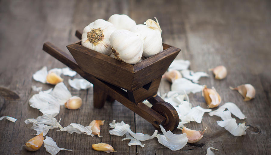 Garlic Cloves In A Miniature Wheelbarrow Photograph