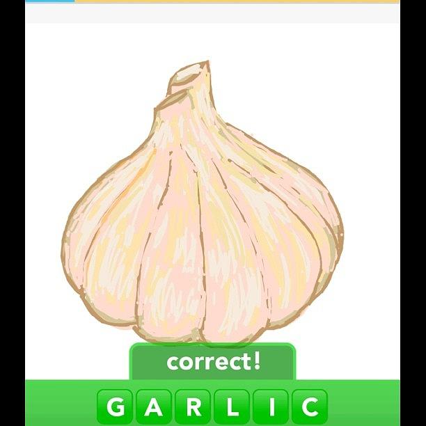 Draw Photograph - #garlic #drawsomething by Michelle Cronin