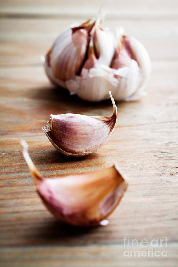 Garlic Photograph by Kati Finell