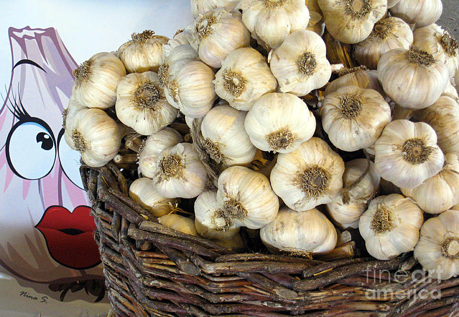 Garlic on Display Photograph by Nina Silver