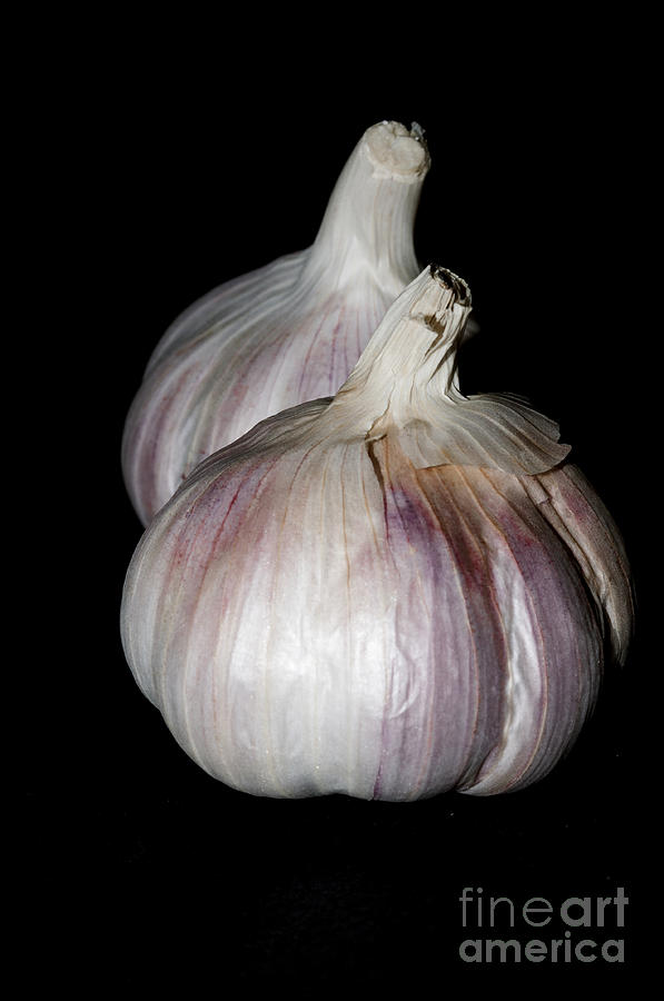 Garlic Photograph by Steve Purnell