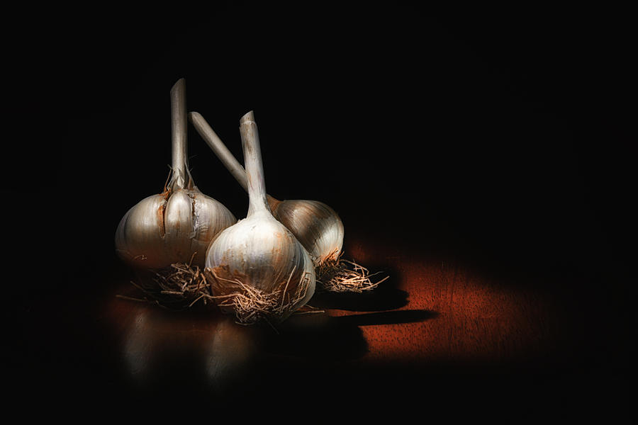 Still Life Photograph - Garlic Still Life  by Wendy Thompson