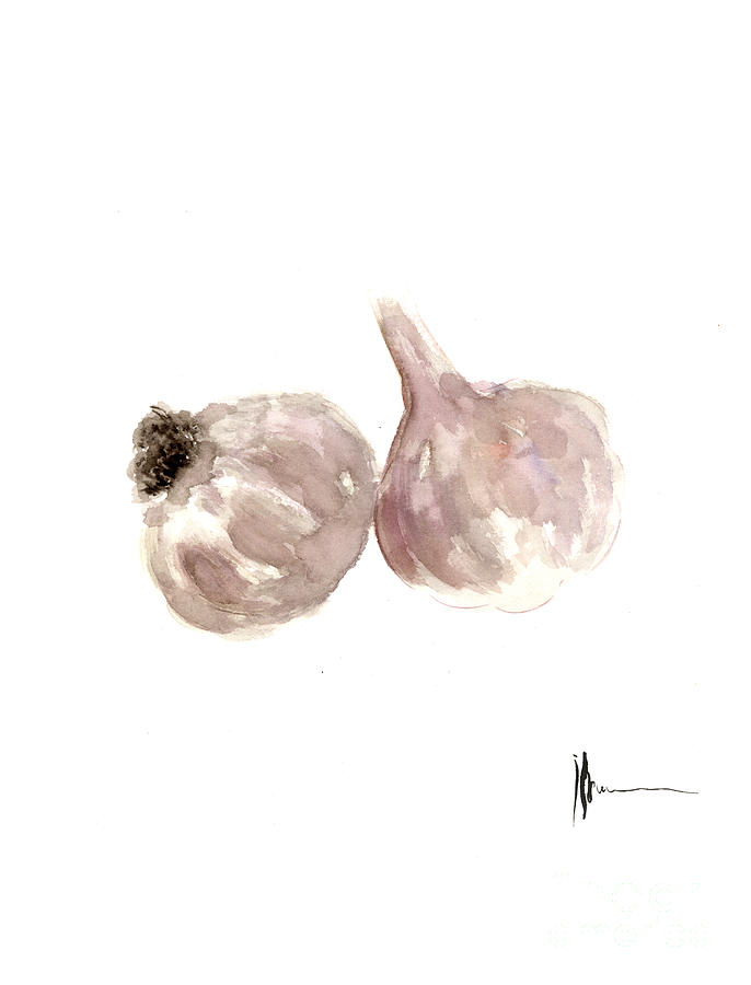 Garlic Painting - Garlic watercolor art print painting by Joanna Szmerdt