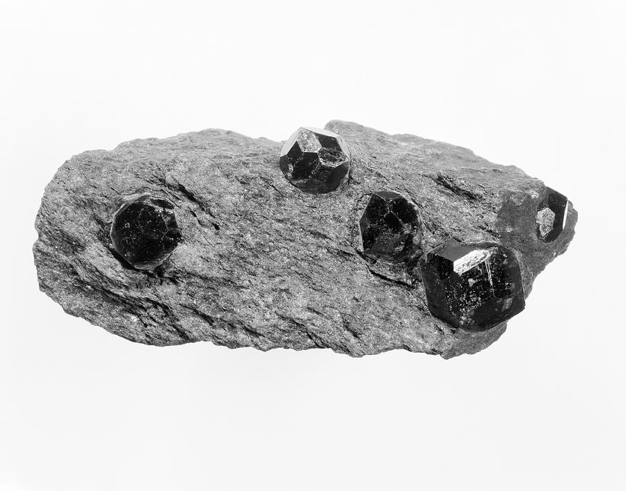tackle sikkerhedsstillelse gaffel Garnet Crystals On Schist by Natural History Museum, London/science Photo  Library