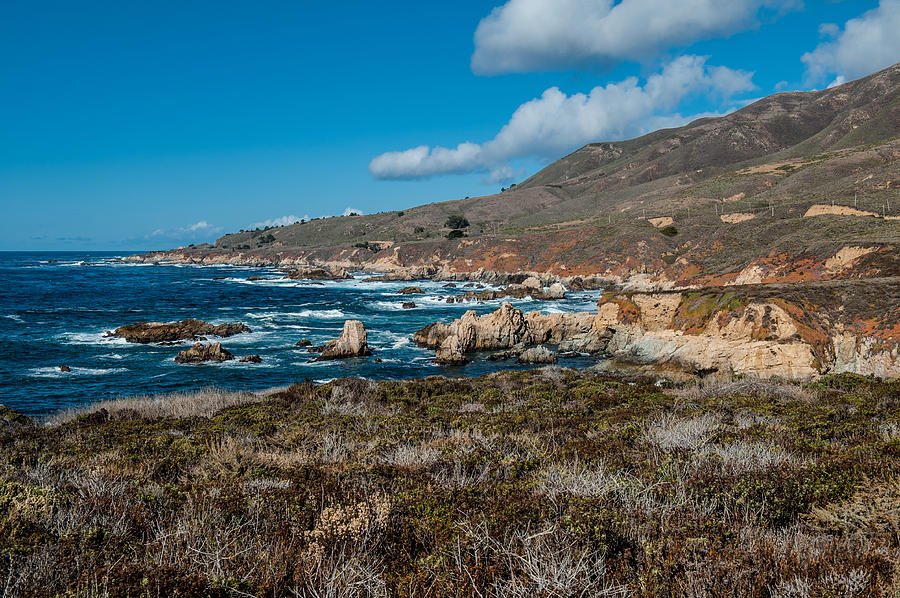 Nature Photograph - Garrapata State Park by George Buxbaum