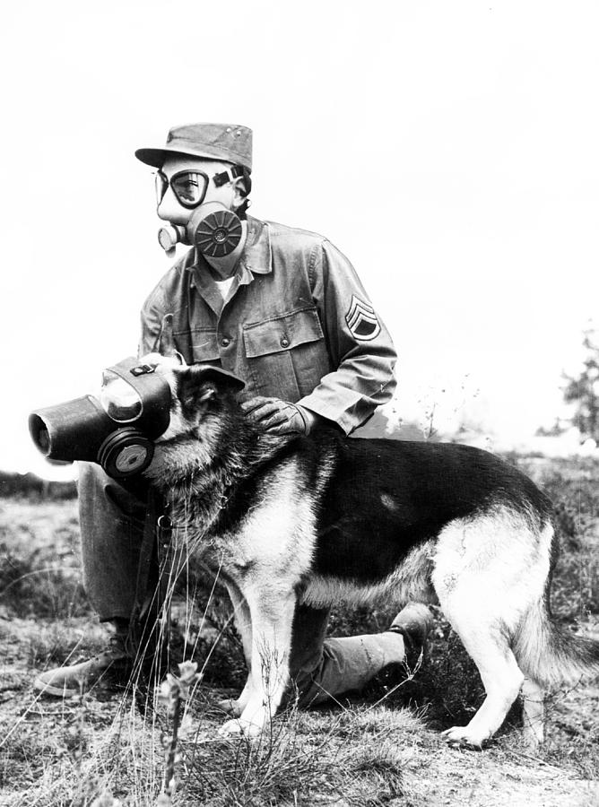 Vintage Photograph - Gas Masks On Dog And Military Personal by Retro Images Archive
