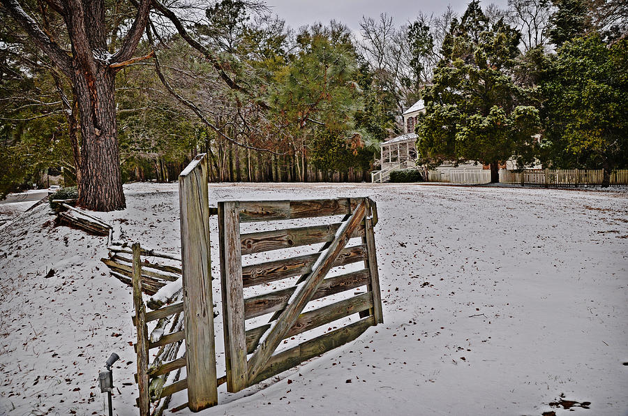 Gate at Thorntree Photograph by Linda Brown