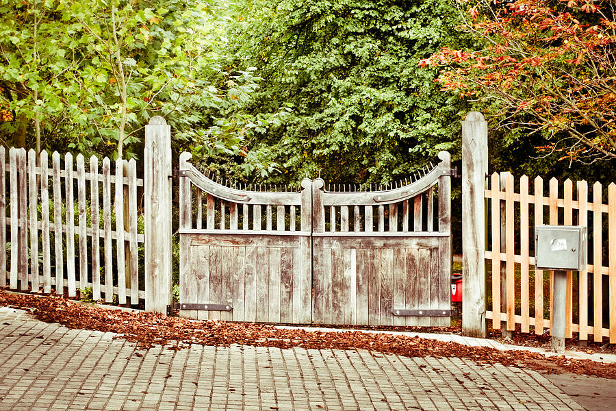 Fall Photograph - Gate in autumn by Tom Gowanlock