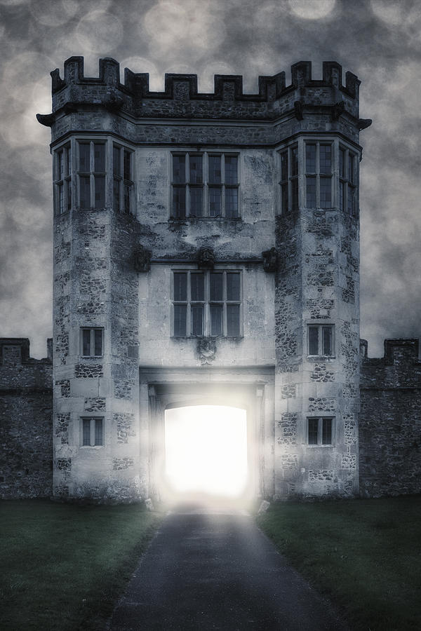 Castle Photograph - Gate by Joana Kruse