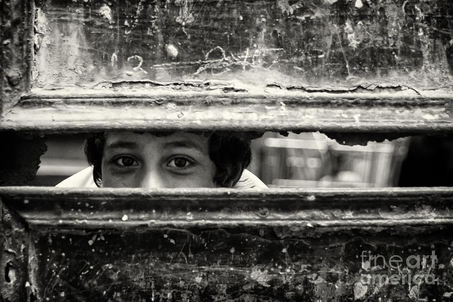 Turkey Photograph - Gate Keeper... by Merthan Kortan