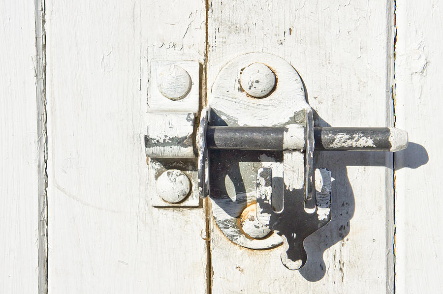Bolt Photograph - Gate lock by Tom Gowanlock